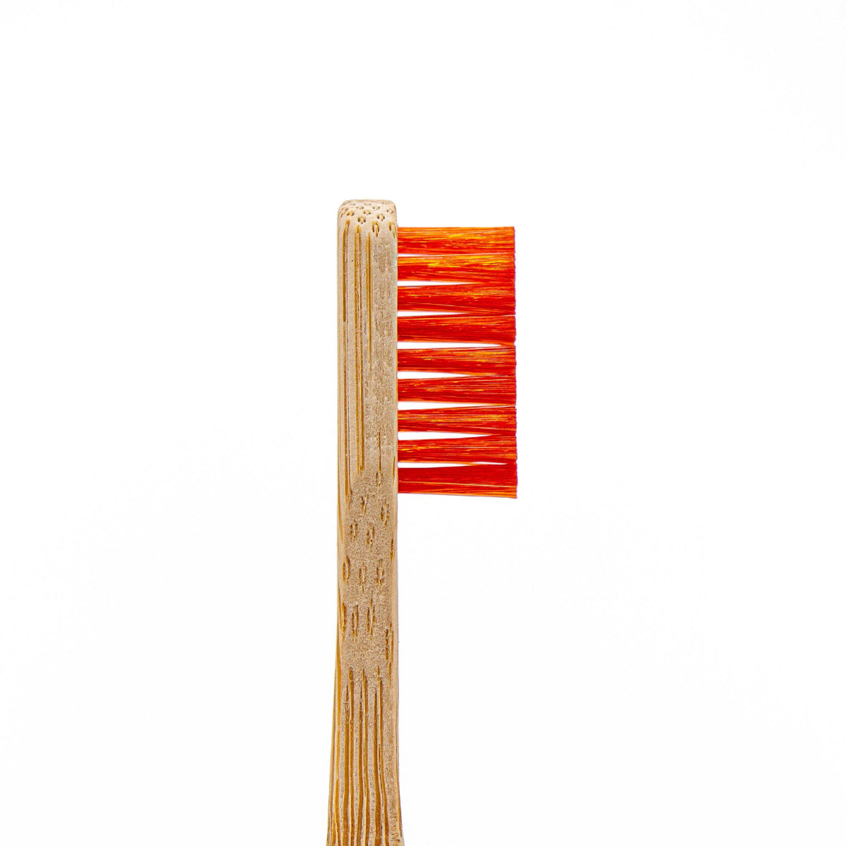 Set de brosses pour le nettoyage en détail